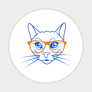 Cute cat in orange and blue Magnet